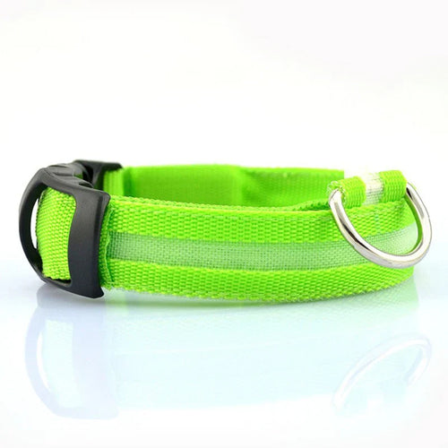 Glow In The Dark Collar - Keep Your Pet Safe and Seen After Dark - Tim Ecommerce Specialist